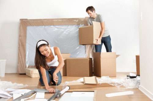 Man with van removal service supporting a Canary Wharf apartment move